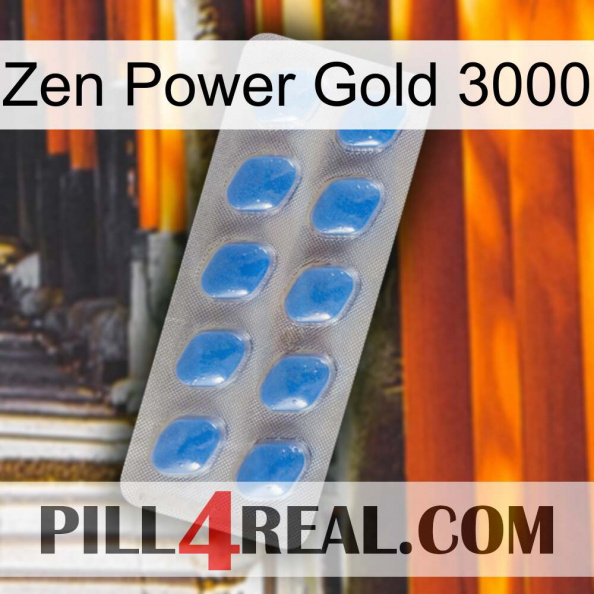 Zen Power Gold 3000 22.jpg